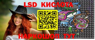 крисы Партизанск