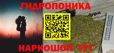 крисы Партизанск