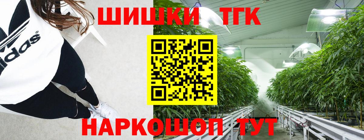 Бошки Шишки план Мончегорск